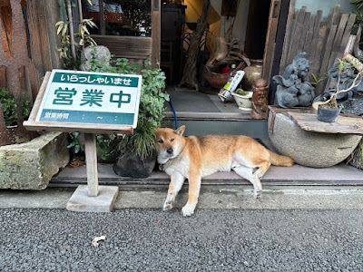 古民具 誠屋 사진 2