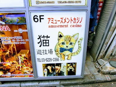 Nekokaji Shinjuku 사진 5