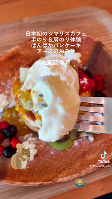 Earth's Chipmunk Cafe 사진 2