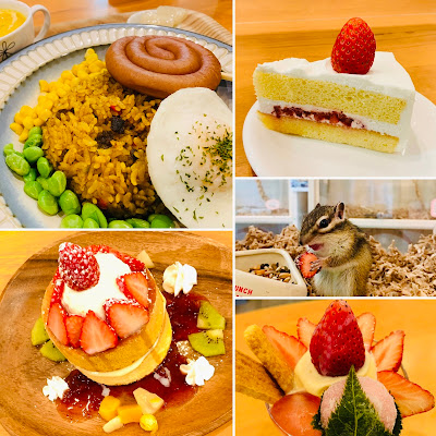 Earth's Chipmunk Cafe 사진 3