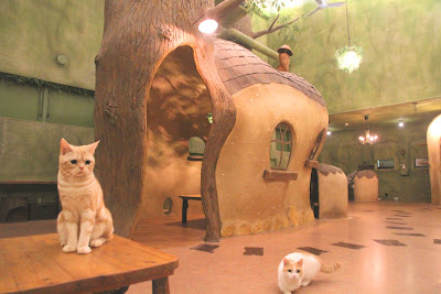 Temari no Ouchi 사진 4