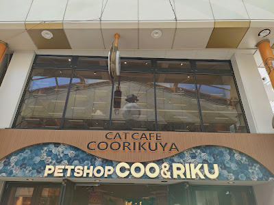 Ku Coo & RIKU Nakanosanmorutenkuriku 사진 5