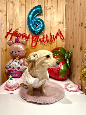 Dogcafe&Goods Ponpulu（ポンプル） 사진 2