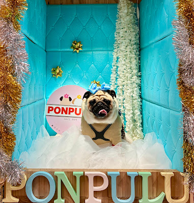 Dogcafe&Goods Ponpulu（ポンプル） 사진 3