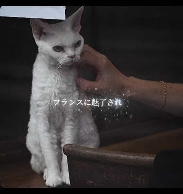 Rapport_antiques +Café（ラポールアンティーク） 사진 2