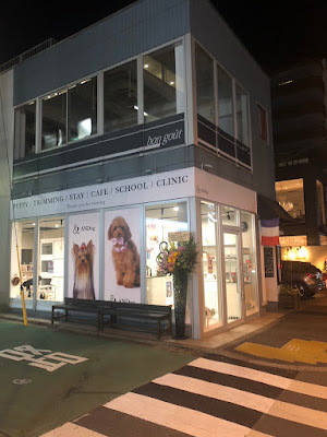 犬カフェ ANDog 新宿店 사진 2