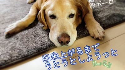 玄米自然食の流花亭 사진 3