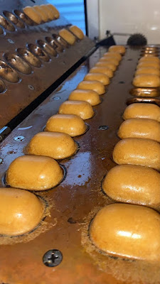BABY CASTELLA R&M 사진 4