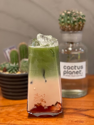Cactus Planet 사진 3