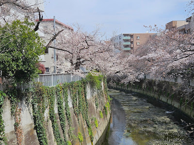 THUKIICHI@KANDAGA river side 사진 3