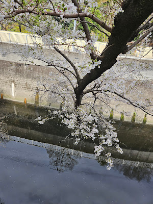 THUKIICHI@KANDAGA river side 사진 5