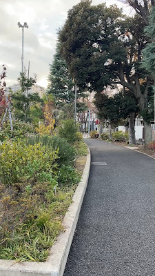 丘の上カフェ 사진 4