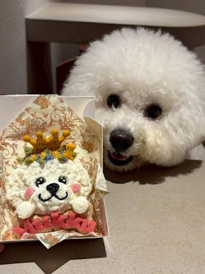 Pooches’Bakery 사진 4
