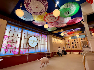 mipig cafe 浅草店 사진 3