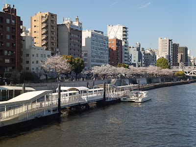 Tokyo Cruise Cafe 사진 3