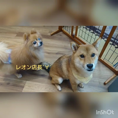 温もりカフェ 사진 2