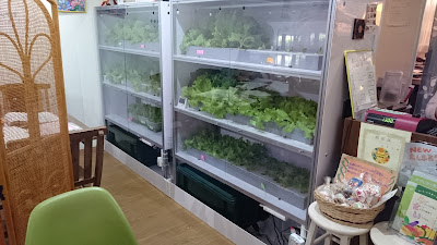 Green Cafe 사진 5