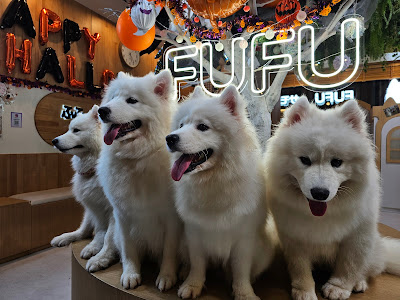 FUFU Samoyed Cafe Ikebukuro East Exit Store 사진 3