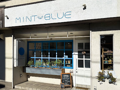 MINTBLUE 사진 5