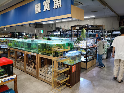 Ozaki Flower Park 사진 3