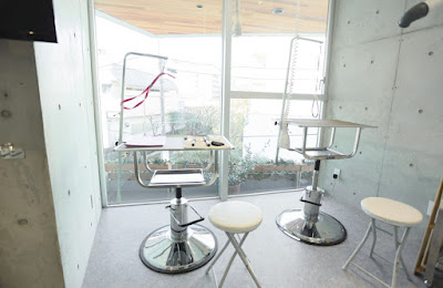 Fujimidaidobutsu Clinic 사진 2