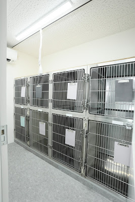 Fujimidaidobutsu Clinic 사진 3