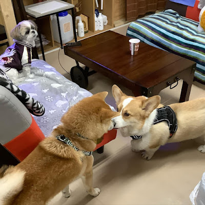 もものアジト！ 사진 4