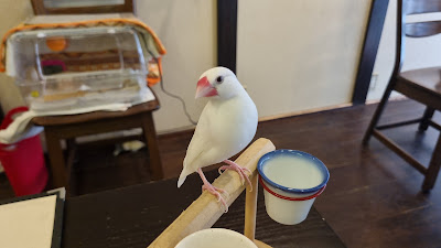 Cafe 사진 4