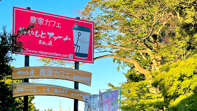 みやもとファーム 農家カフェ・農産物直売所 사진 3