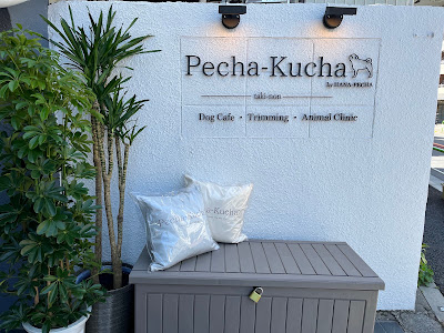 dogcafe Pecha-Kucha taki-non 사진 3