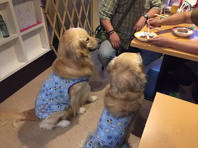 Cafe and Dog Space John 사진 5