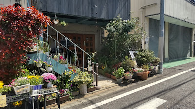Ranzo 사진 4