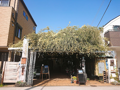 Gallery & Cafe FIND 사진 4