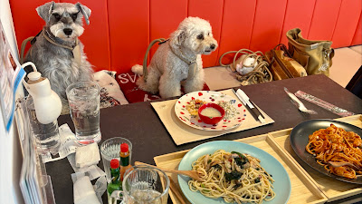 スパゲッティ デコピン 사진 3