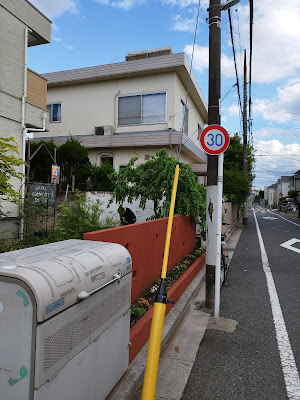 ウイズタイム 사진 4