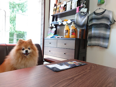 Dogcafe PON with Trimming 사진 4