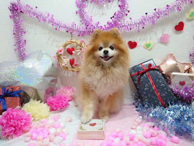 Dogcafe PON with Trimming 사진 2