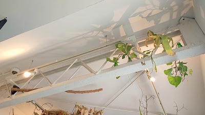 Green Cafe 사진 2