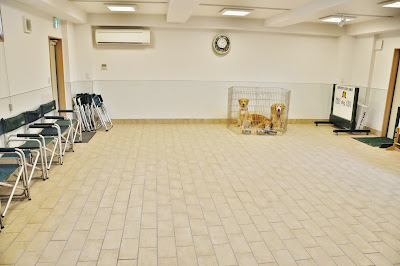 遠藤警察犬家庭犬訓練所 사진 2