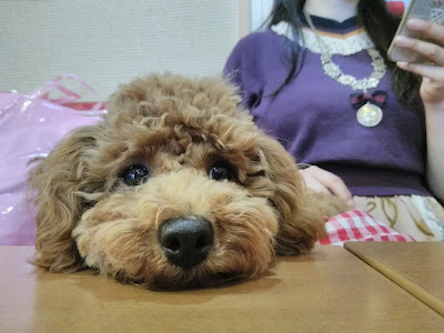 Ｐｃ’ｍｓ ｃａｆｅ 사진 3