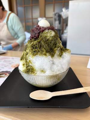 Ice Plant 사진 3