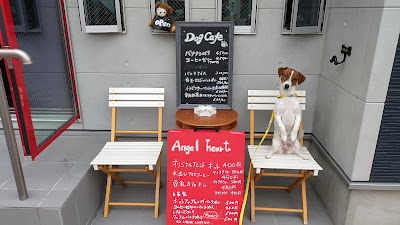 ドッグカフェ エンジェル・ハート 사진 3