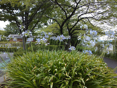Toshi Agriculture Park Parking Lot 사진 4