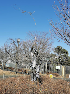 Toshi Agriculture Park Parking Lot 사진 5