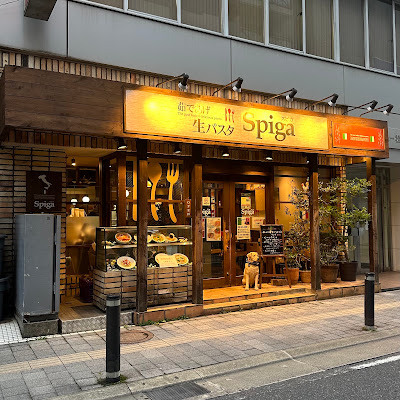 生パスタ専門店 スピガ 松戸店 사진 3