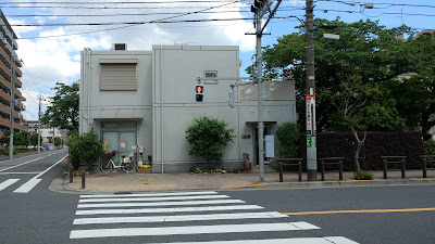 soYo 사진 5