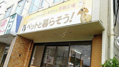 動物保護・譲渡施設 「ペットと暮らそう」 사진 3