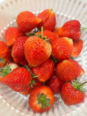 ふるふるフルーツ FULL FULL FRUITS 사진 2