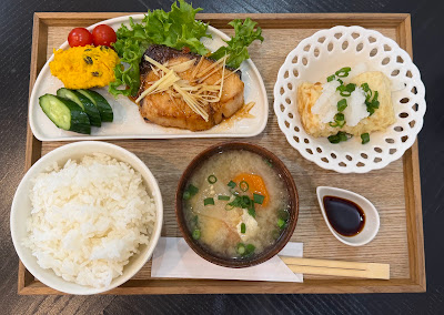 nogiku 사진 2