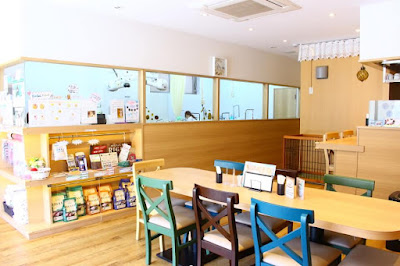 dogsalon and cafe copin 사진 4